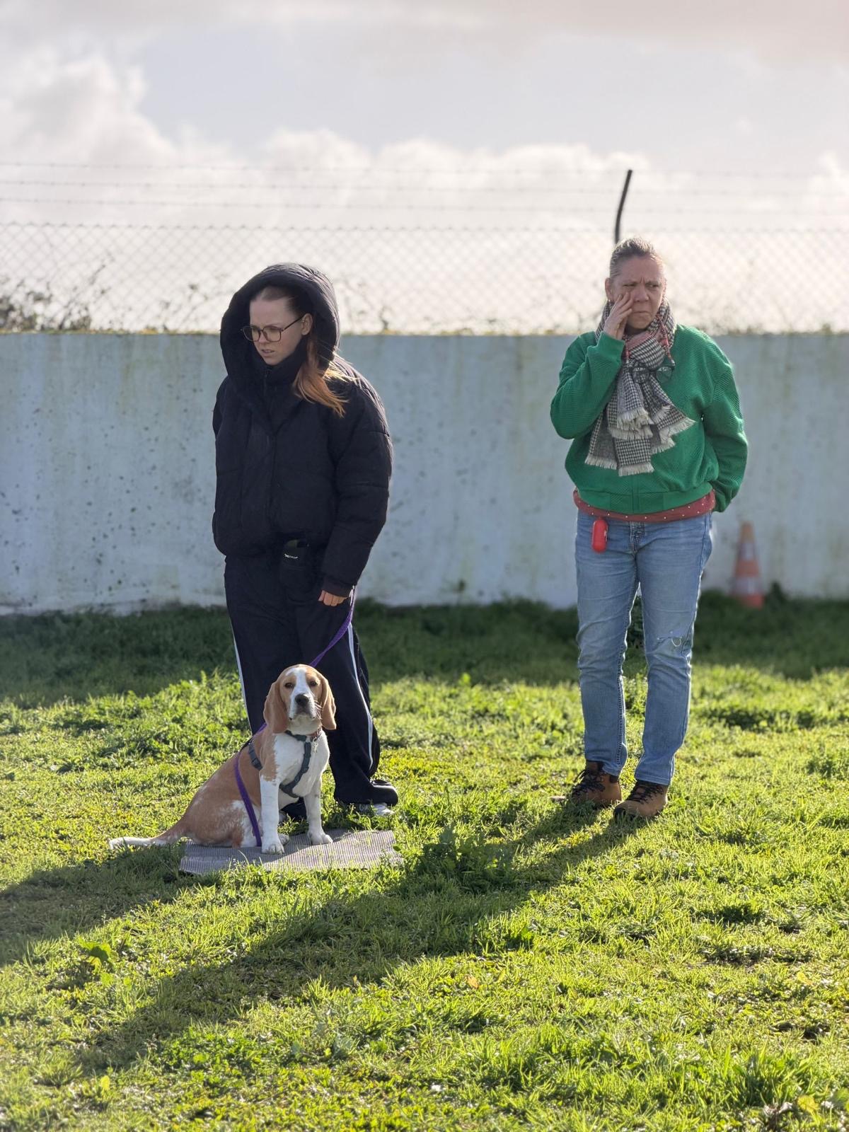 Cão e tutor em treino