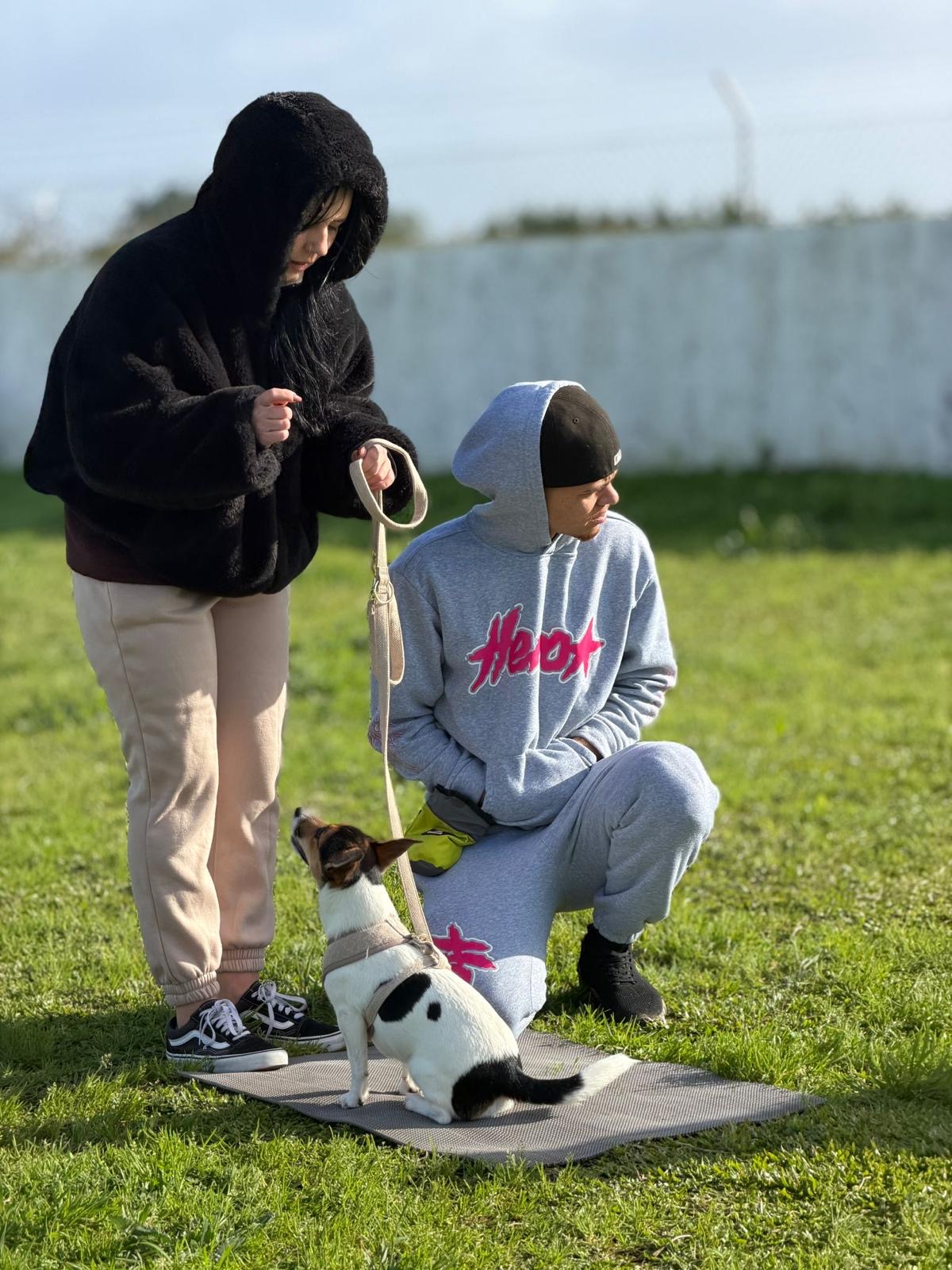 Cão a aprender em grupo