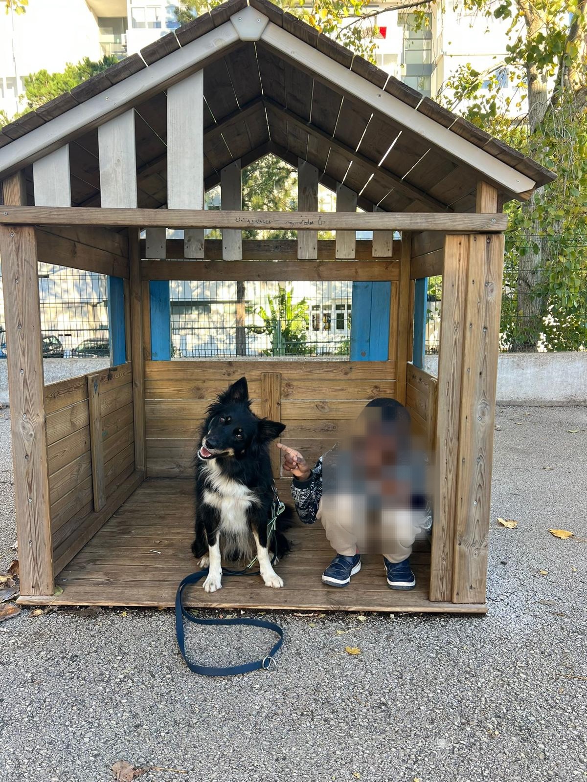 Sessão de terapia assistida por animais em grupo