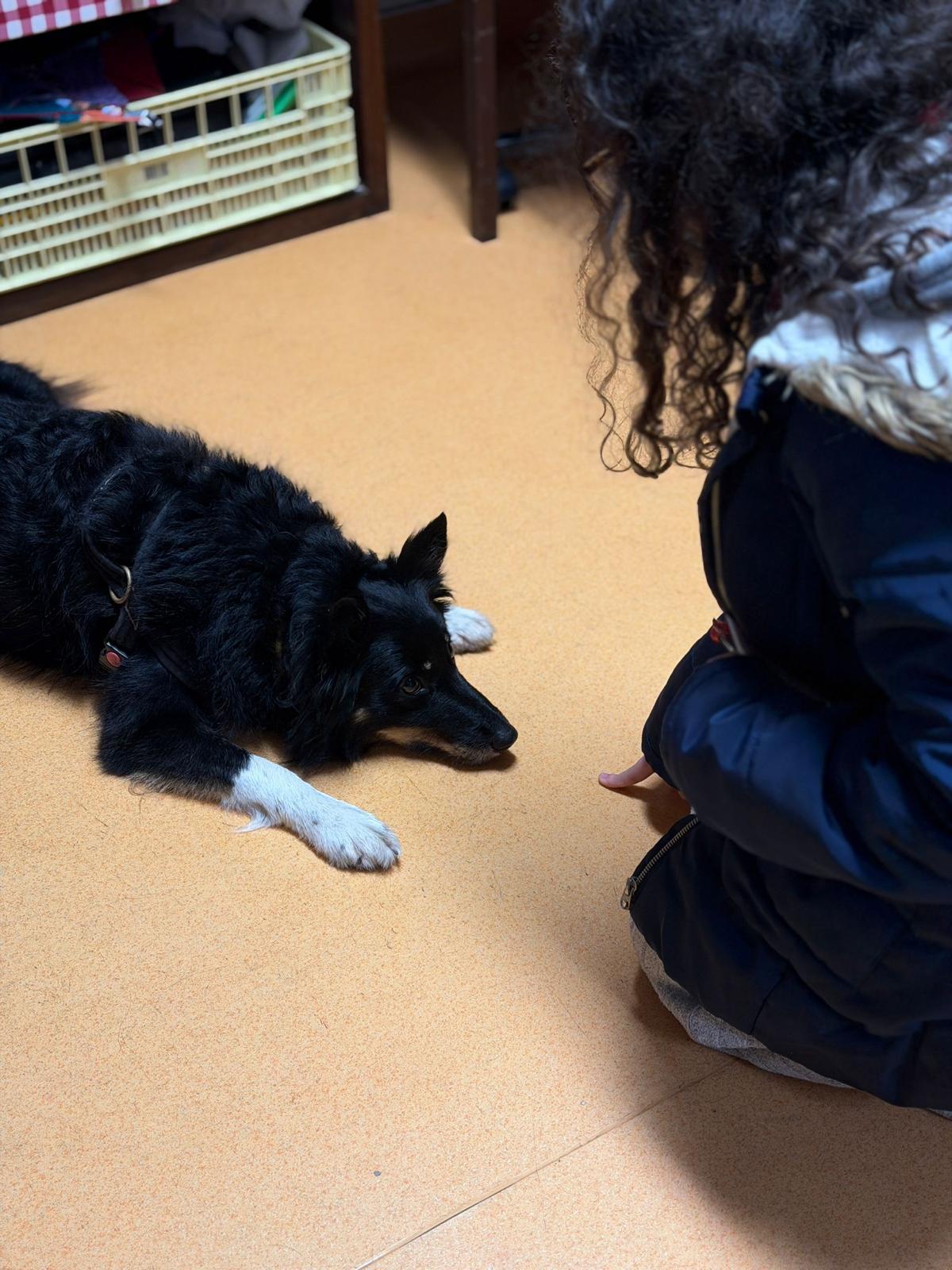Momento de ligação entre criança e o Noah numa sala de aula